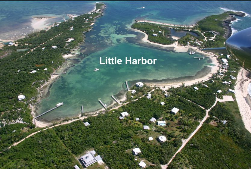 Click to See Next Image